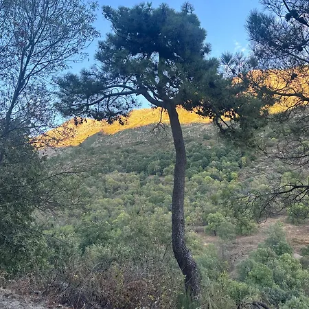 Luna De Gredos