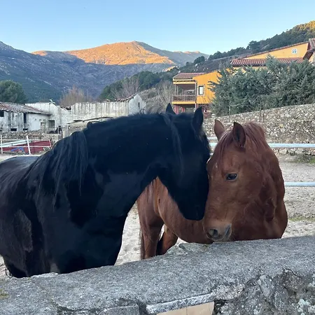 Luna De Gredos *